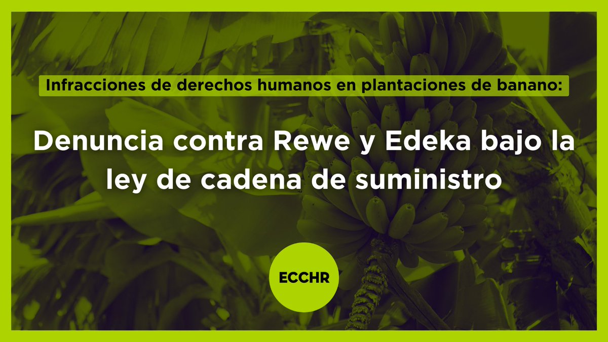 Los supermercados alemanes Rewe y Edeka no están abordando de forma adecuada las infracciones de derechos humanos en sus cadenas de suministro de banano. Por ello, presentamos una queja junto con @AstacEcuador, @Oxfam_DE y @Misereor: ecchr.eu/en/case/edeka-…