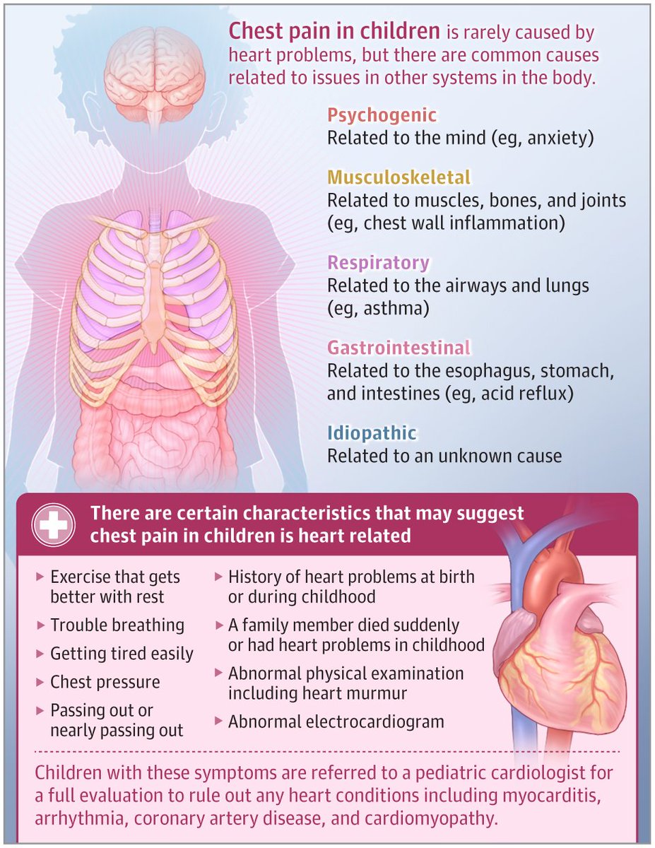 Parents often worry when their child has any pain in their chest. This Patient Page describes common causes for chest pain in children, heart-related causes of chest pain, and what an evaluation with a pediatric cardiologist might look like. ja.ma/3sj9pK7