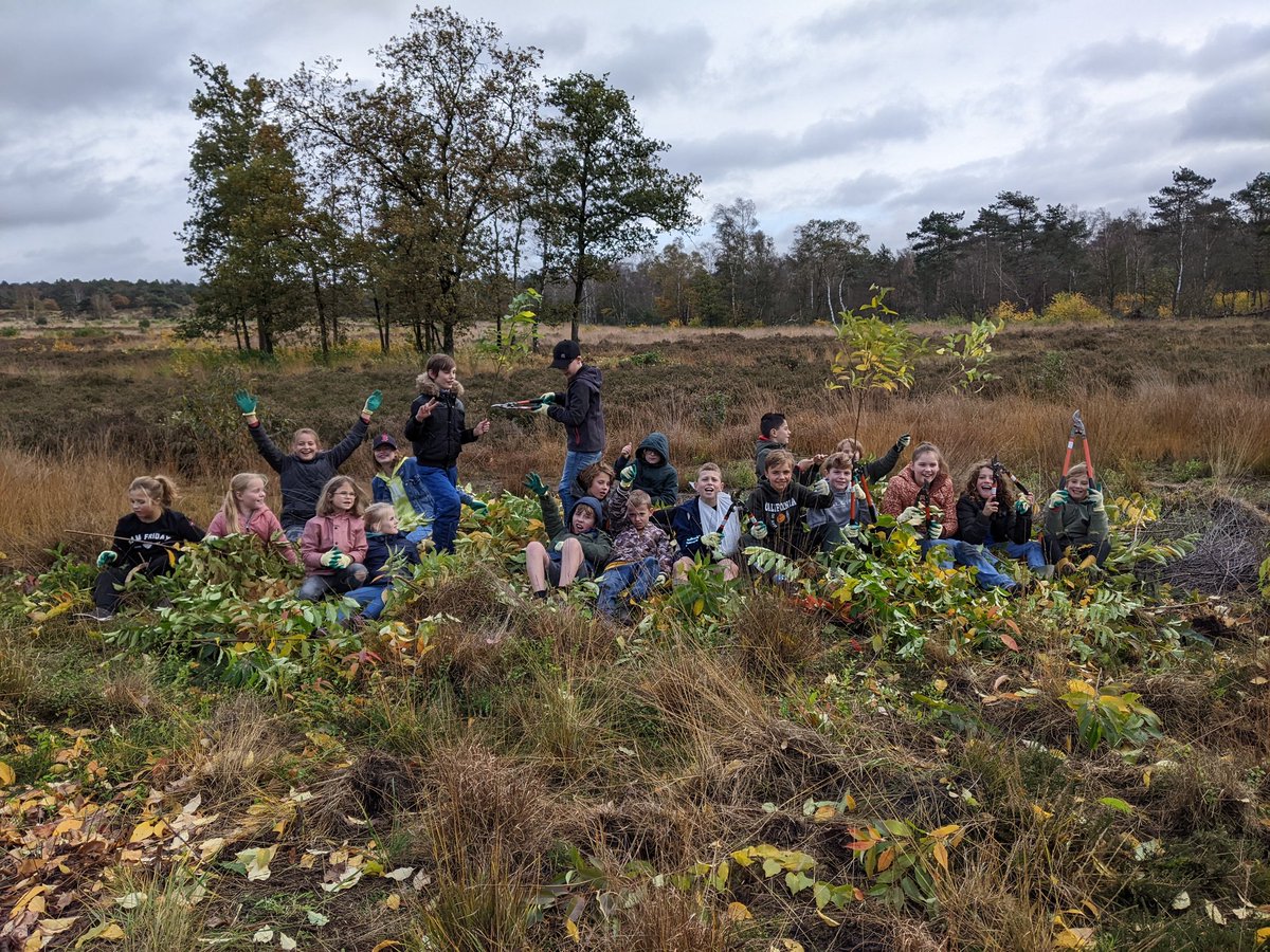 In #Hoenderloo heeft IKC Hei &amp; Bos geholpen op de heide. Vol enthousiasme aan de slag met verwijderen van Amerikaanse vogelkers. Vanavond ook op Omroep Gelderland! Meld je nog aan op natuurwerkdag.nl. Morgen kan je in Gelderland aan 67 klussen mee kan doen! <a href="/SLGelderland/">Stichting Landschapsbeheer Gelderland</a>