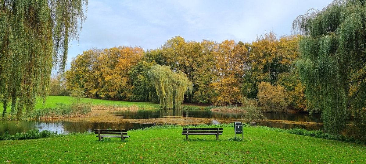 schrijftijgerin's tweet image. Wie durft te verdwalen, vindt nieuwe wegen ... 
💚💚
#wegomleiding #bonus #kansen