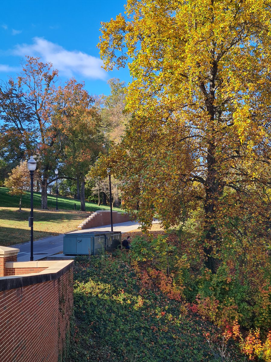 Jókay Károly (Charles Jokay) tweet media