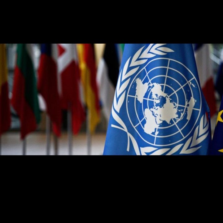 #MejorSinBloqueo 🇨🇺 La masiva votación por el fin del bloqueo de Estados Unidos contra #Cuba constituye una nueva y clara victoria de la isla en las Naciones Unidas <a href="/ONU_es/">Naciones Unidas</a> 
#NoMasBloqueoACuba