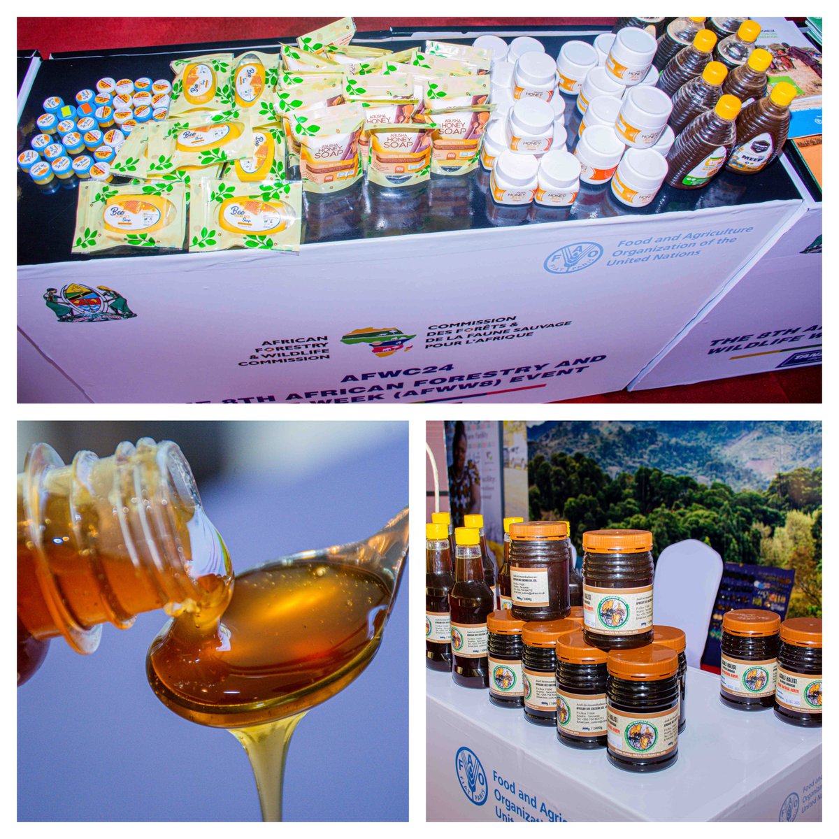 Tanzania's beekeeping value chain is buzzing with potential 🐝🍯

Beyond honey production, beeswax - a valuable resource - remains largely untapped.

With support from <a href="/FAO/">Food and Agriculture Organization</a>, through the African Forestry &amp; Wildlife Commission, this industry is set to flourish

#AFWC24