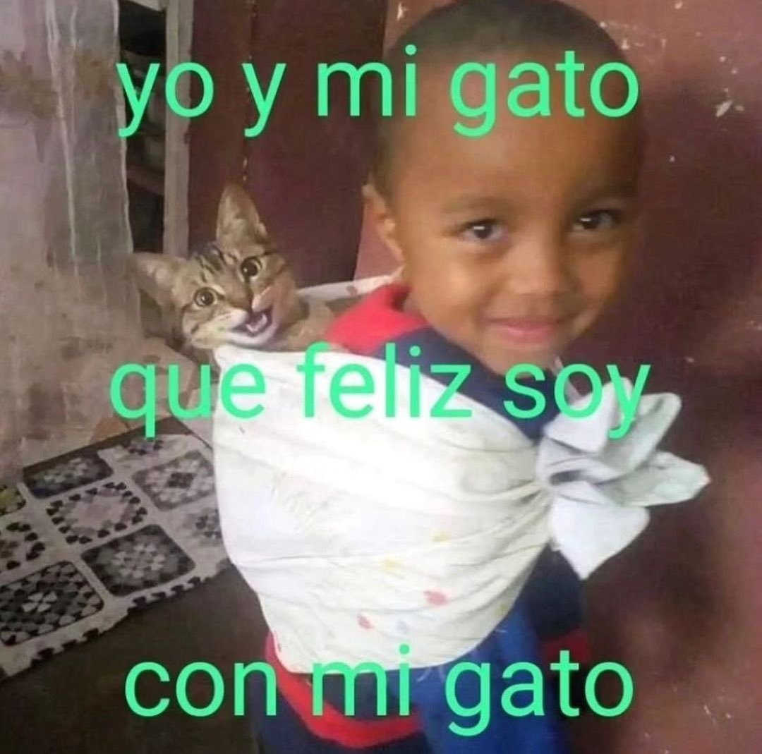 piña sin pizza (@skereunpesado) on Twitter photo 