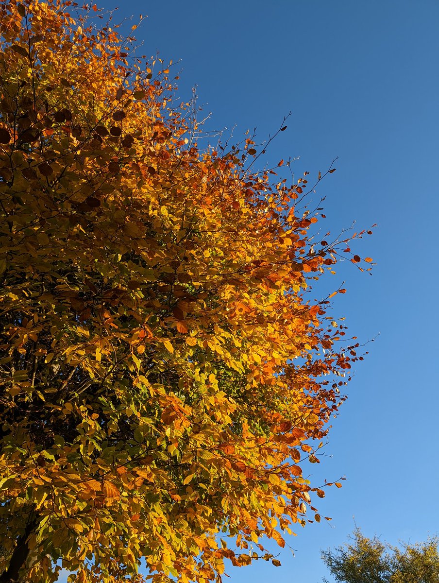 It's a beautiful day to get out and take some photos for Ryburn Nature Photographer of the year <a href="/rvhs_school/">Ryburn Valley High</a> . <a href="/TheLathums/">THE LATHUMS</a> Let the children have their chance to see ,Just how beautiful life can be.
