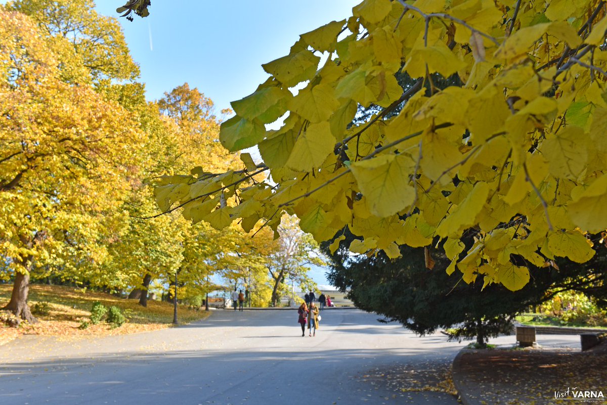 VisitVarnaBg's tweet photo. 🍁Autumn Friday vibes in #VarnaSeaGarden!🍂 The weekend is just around the corner!
#VISITVarna
.
.
#Varna2023 #autumn #novembersun
#novemberinvarna #seagarden #friday #walk #fridaystroll #weekendiscoming #beautiful #fall #fallinvarna #fallisbeatiful #colorfuldayinvarna #LoveVarna https://t.co/pxKssjMtCq