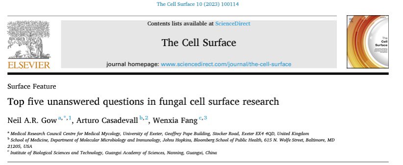Neil Gow (@neil_gow) on Twitter photo See the results here - article link:
authors.elsevier.com/sd/article/S24… of the community view of the top 5 unanswered questions in fungal cell wall research. <a href="/TheCellSurface/">The Cell Surface</a> <a href="/eurconfmedmycol/">ECMM</a> <a href="/YoungECMM/">YoungECMM</a> <a href="/youngisham/">The Young ISHAM</a> <a href="/ISHAM_Mycology/">ISHAM</a> <a href="/BritSocMedMyc/">British Society for Medical Mycology</a> <a href="/ACasadevall1/">Arturo Casadevall</a> See the results here - article link:
authors.elsevier.com/sd/article/S24… of the community view of the top 5 unanswered questions in fungal cell wall research. <a href="/TheCellSurface/">The Cell Surface</a> <a href="/eurconfmedmycol/">ECMM</a> <a href="/YoungECMM/">YoungECMM</a> <a href="/youngisham/">The Young ISHAM</a> <a href="/ISHAM_Mycology/">ISHAM</a> <a href="/BritSocMedMyc/">British Society for Medical Mycology</a> <a href="/ACasadevall1/">Arturo Casadevall</a>