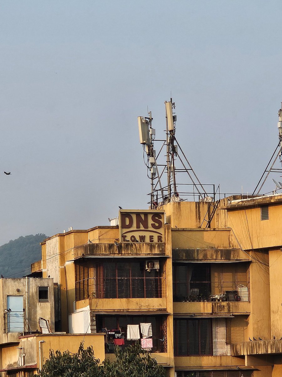 kaivalya tweet media