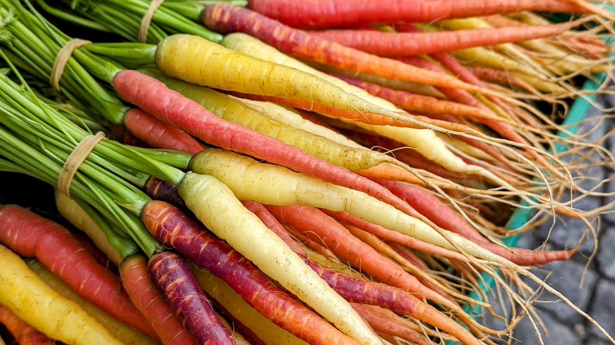 Switzerland's Carrot Market: In case you missed it, here's some info for planning your visit next year! #swissfood #switzerland cuisinehelvetica.com/2023/11/03/swi…