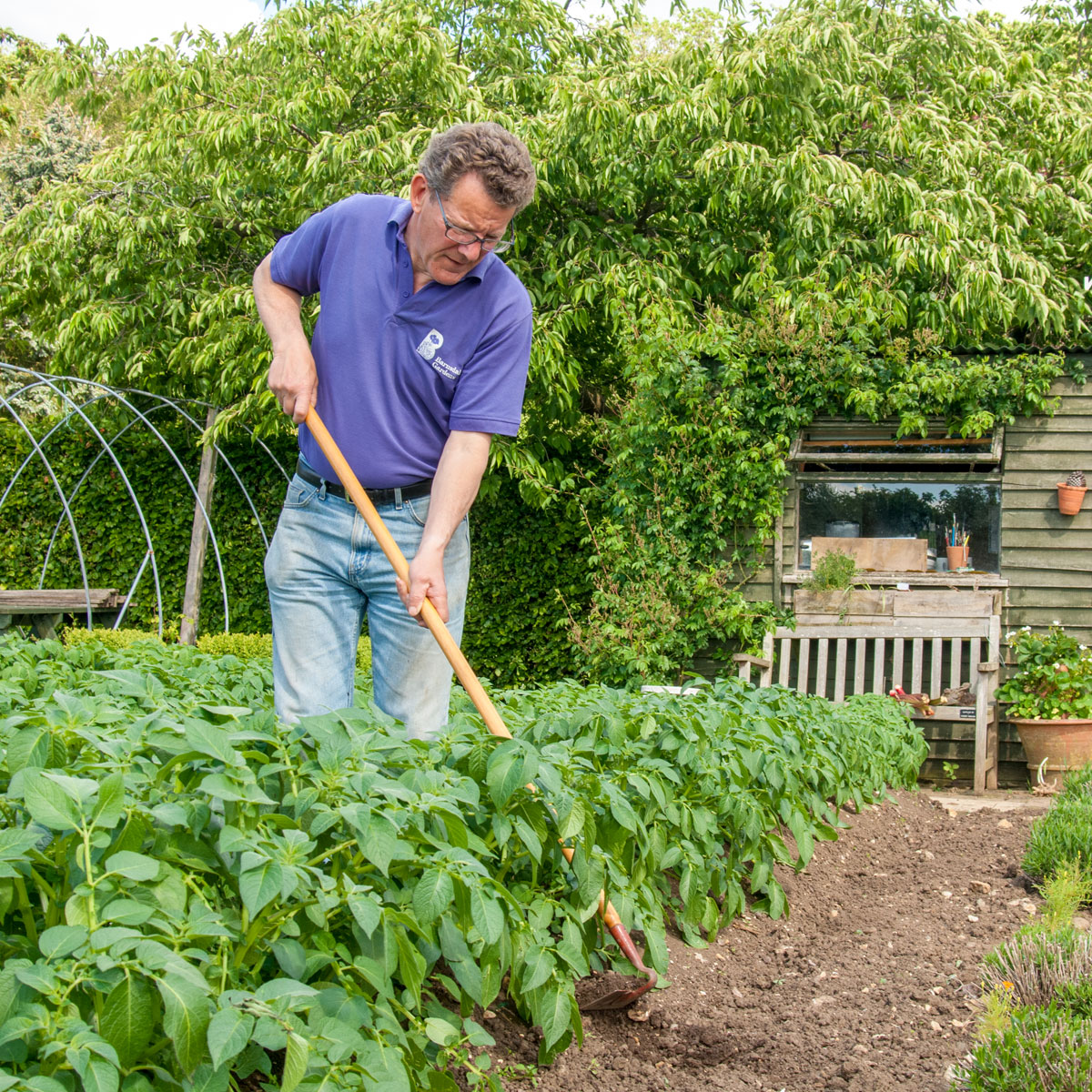 Peat-free and sustainably, that is how we roll! Thank you to @Garden_Ninja for this super interview and article with #NickHamilton of @barnsdalegarden, 'Peat Free Gardening Tricks: Garden Expert Nick Hamilton Explains' gardenninja.co.uk/peat-free-gard…