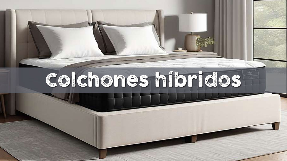 comprarcolchon_'s tweet photo. 🛏 Los colchones híbridos mezclan la estructura y firmeza de los muelles con la comodidad y adaptabilidad de la espuma viscoelástica.

🛌 https://t.co/U6xaENQ1kU

#Colchonesespaña
#colchonesdemuelles
#ColchonesDeEspuma
#ColchonesDeCalidad
#colchoneshíbridos https://t.co/AStqHuR2Q6