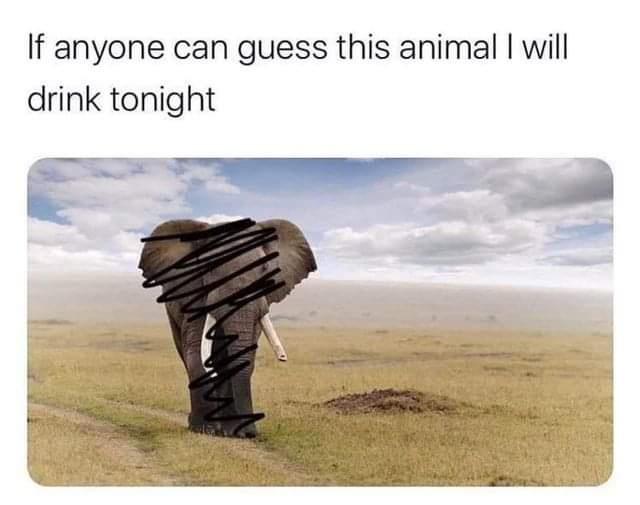 Boxed in Black Media tweet media