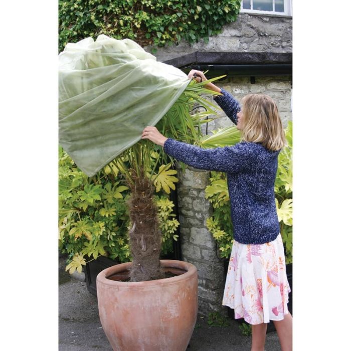 lbshorticulture's tweet photo. Easy Fleece Jackets - Large - 180cm x 120cm (2)
PRICE: £6.68 (Incl. VAT £8.02)
https://t.co/6aMowlmWPK
#fleecejacket #frost #protectplants #frostprotection https://t.co/i9jx5B4uXL