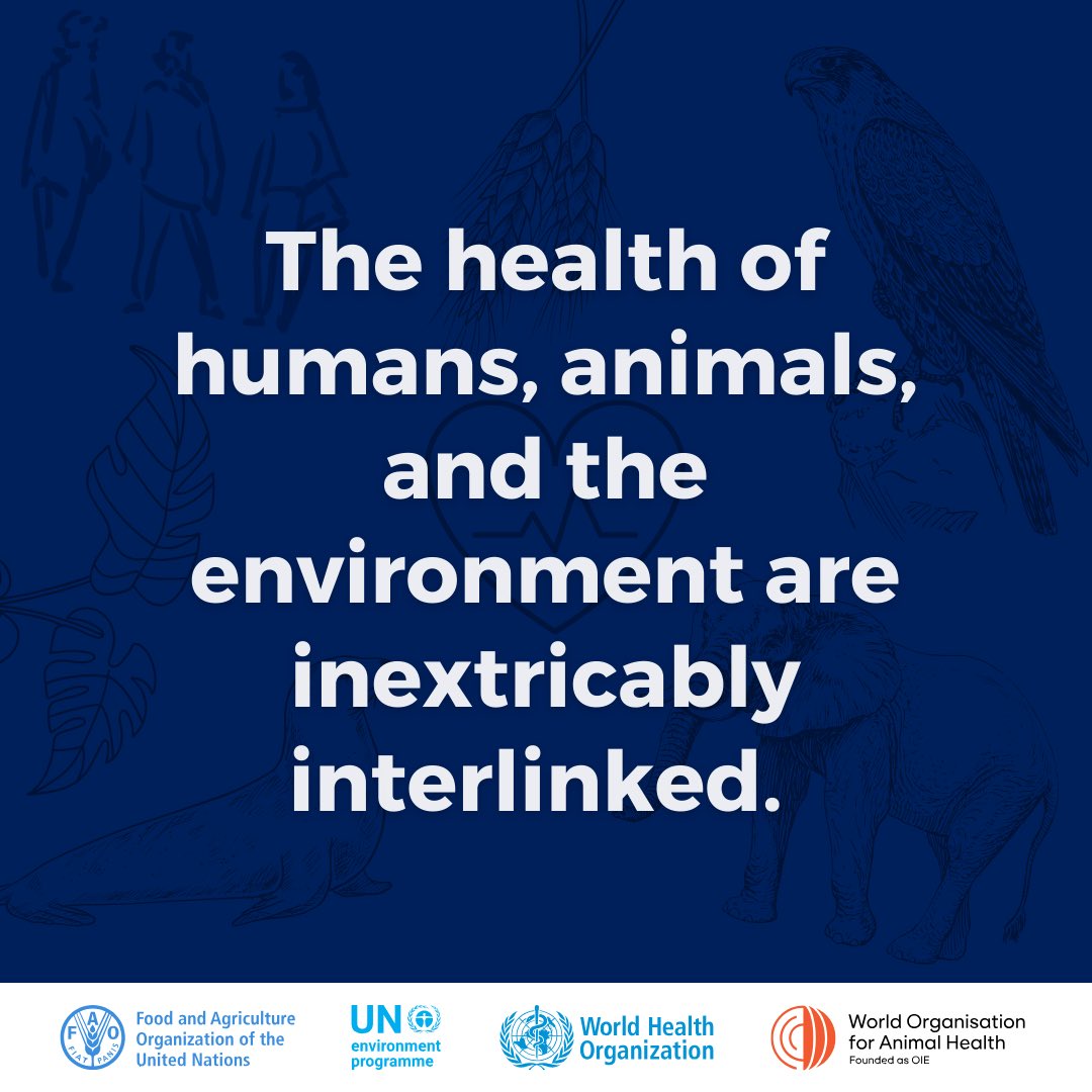 andersen_inger's tweet photo. Human activities &amp; stressed ecosystems make it easier for diseases to emerge &amp; spread.  A unified #OneHealth approach is our best bet for preventing the next pandemic &amp; building a more resilient future for all. https://t.co/5hkEFazlgM
