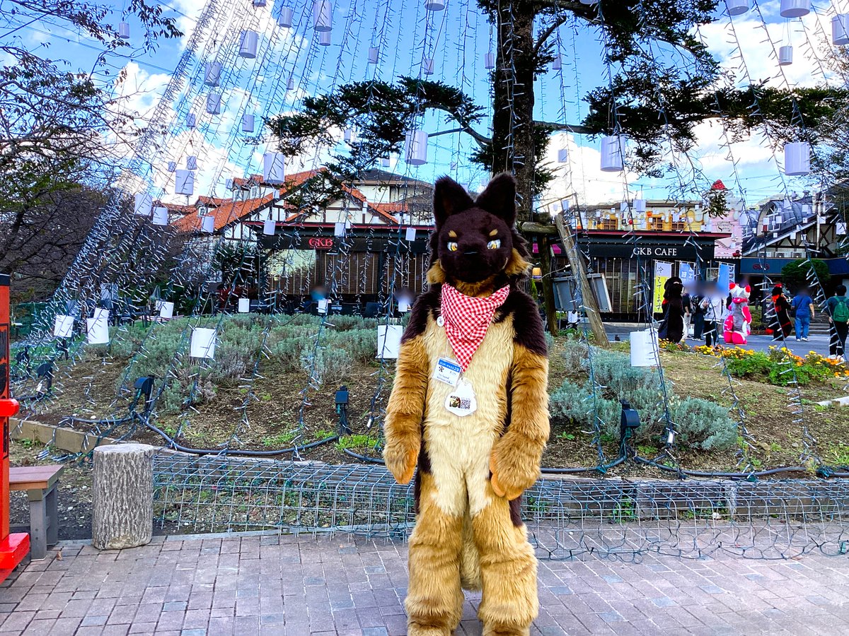 starLsty's tweet photo. ぬまっふ以来のKOU君。あっちへキョロキョロこっちへキョロキョロ、思いっきり犬。付き添いのchiefさんがね、完全に飼い主のムーブなんすわ
#Kemocon16 https://t.co/Qvo95HFlet