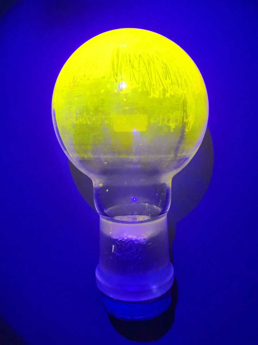 A flask so bright, it looks like a light bulb! 💡

#FluorescenceFriday✨ #CENChemPics 📷#AlwaysCurious🔍 #Chemistry⚗️ #OrganicChemistry #RealTimeChem #ChemTwitter #ChemX #SciComm #AcademicTwitter