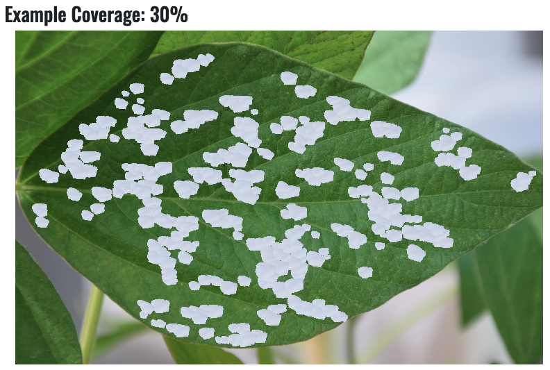CropNetwork's tweet photo. Train your eyes to recognize disease and insect injury severity on crop plants at https://t.co/Aof1RYBIwu

From land-grant Extension! https://t.co/9XJ4oVgBpS