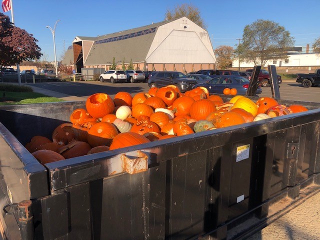 The great pumpkin drop off is back, in 2 locations! @WHPublicWorks , 17 Brixton St. & Westmoor Park, 119 Flagg Rd. Help keep 1 BILLION pumpkins out of trash, and turned into electricity and compost instead! @TownofWestHrtfd @WHartfordNews @WeHartford