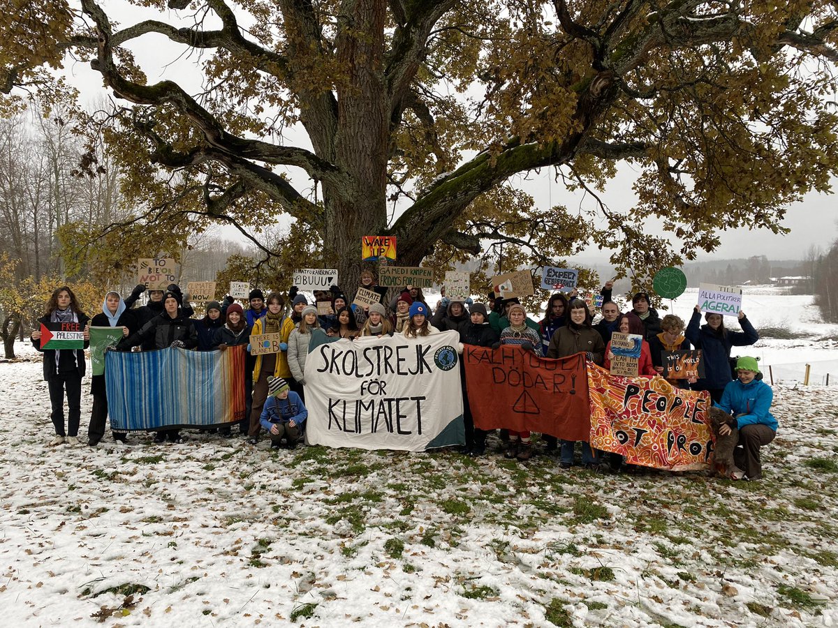 Week 272. #FridaysForFuture #ClimateStrike