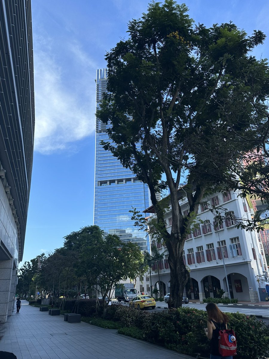 粉茶岛 tweet media