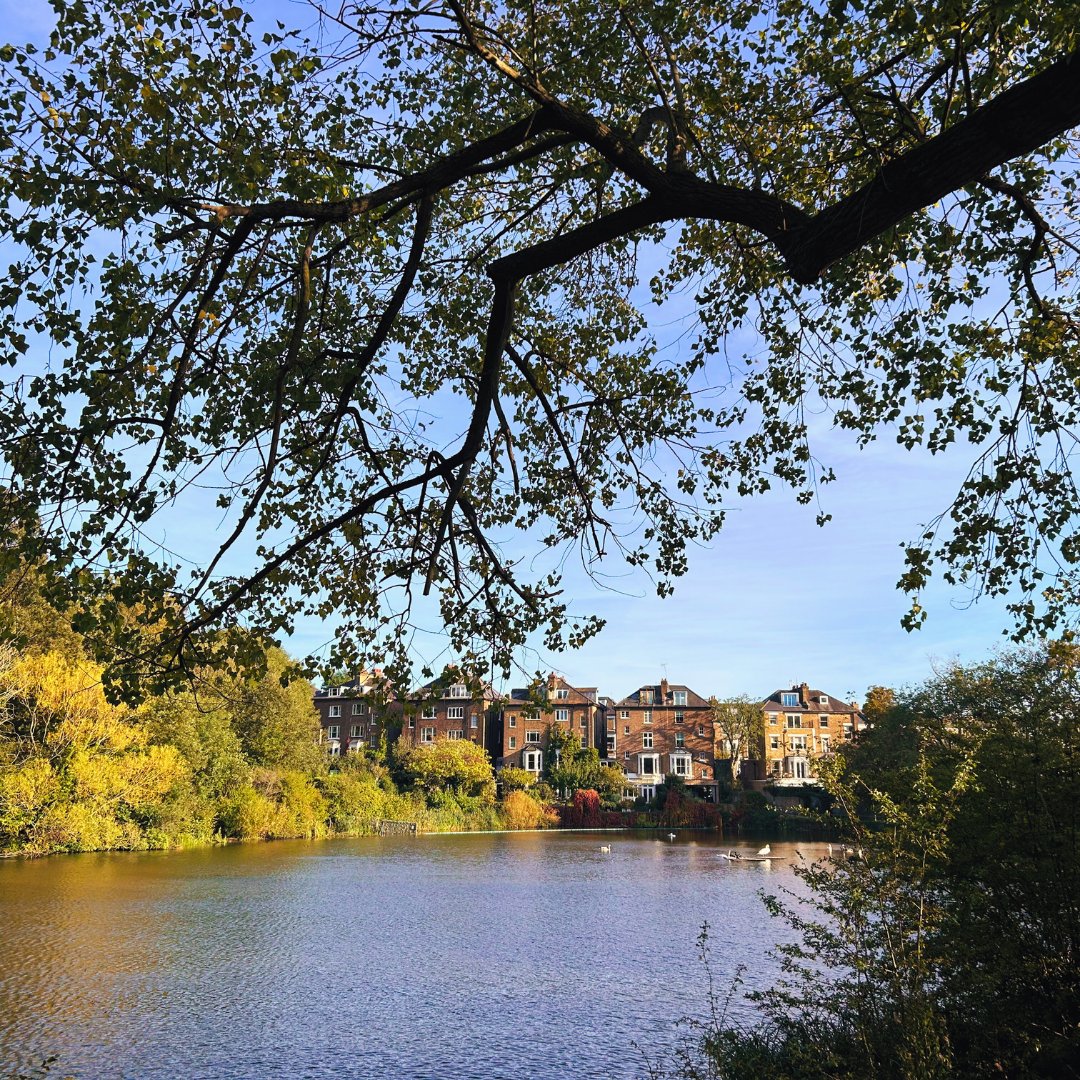 Hampstead Heath (@citycorpheath) on Twitter photo How would you describe the Heath you ❤️? Tell us in the comments below! How would you describe the Heath you ❤️? Tell us in the comments below!
