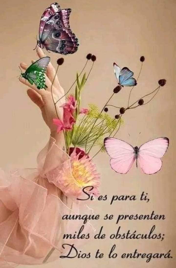 maryorisj's tweet photo. Buenos días 🌻 https://t.co/BgOsNa5mhM