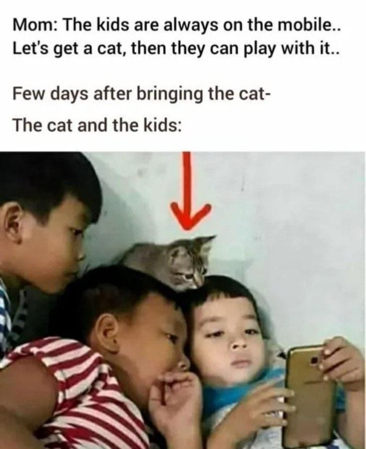 WholesomeMeme's tweet photo. https://t.co/X2KSIRRK6k