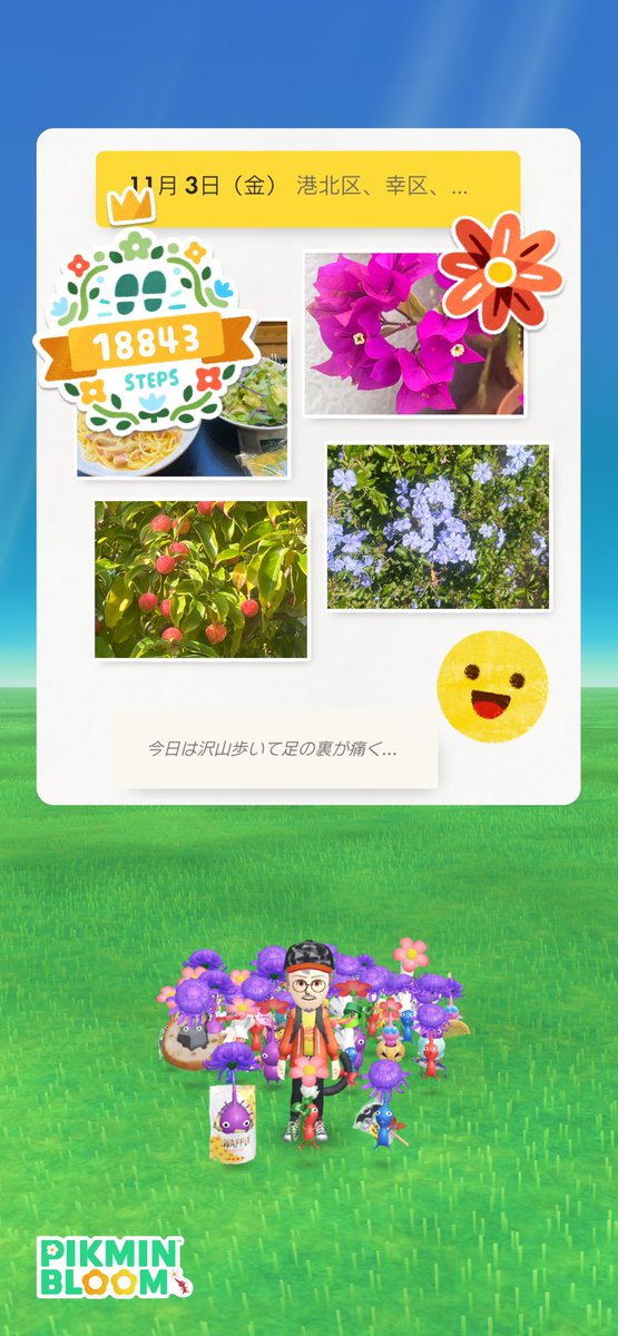 pochi_wolf's tweet photo. #まいにちピクミンブルーム
#PikminBloom https://t.co/ZqCYt7upXm