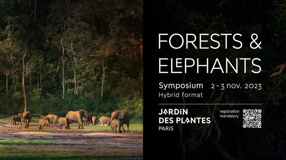 Marie_Sigaud's tweet photo. Vous pouvez suivre ce qui se passe au cours du Symposium "Forêts et Eléphants" en suivant le compte twitter @_forestelephant https://t.co/EDWAVkLZjq
