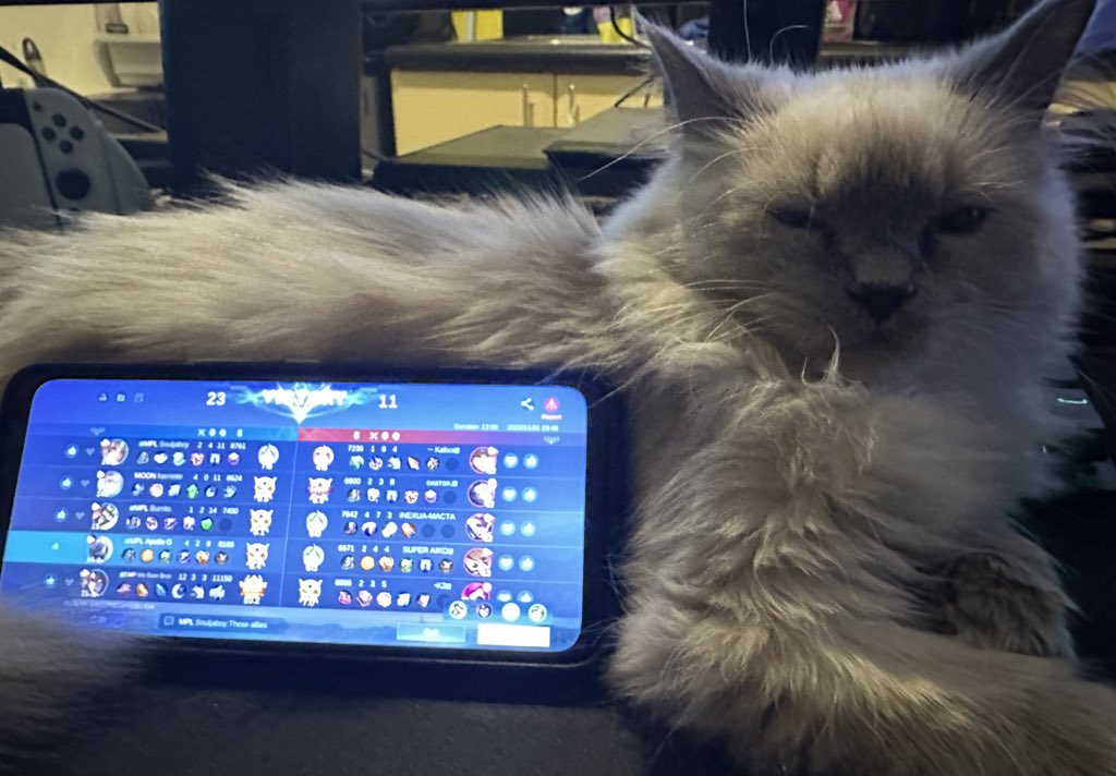 LeoCastsPH's tweet photo. IM DOING A 20% DISCOUNT CODE FOR M5 TICKETS GIVEAWAY ON MY FB PAGE 🦁

Thanks to @asusrogph for the hookup 🙏

#ROGNumbawan #ROGPhone #MLBBM5

(Photo of Castle for attention) https://t.co/9qgdC1q0mB