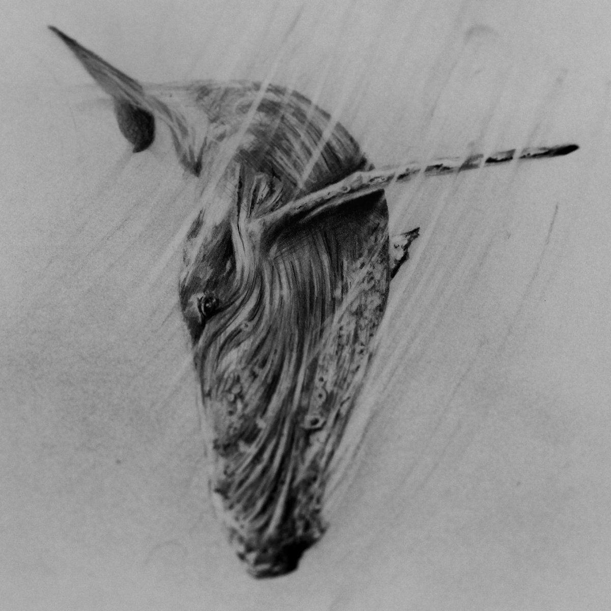 Good morning 🌞✏️