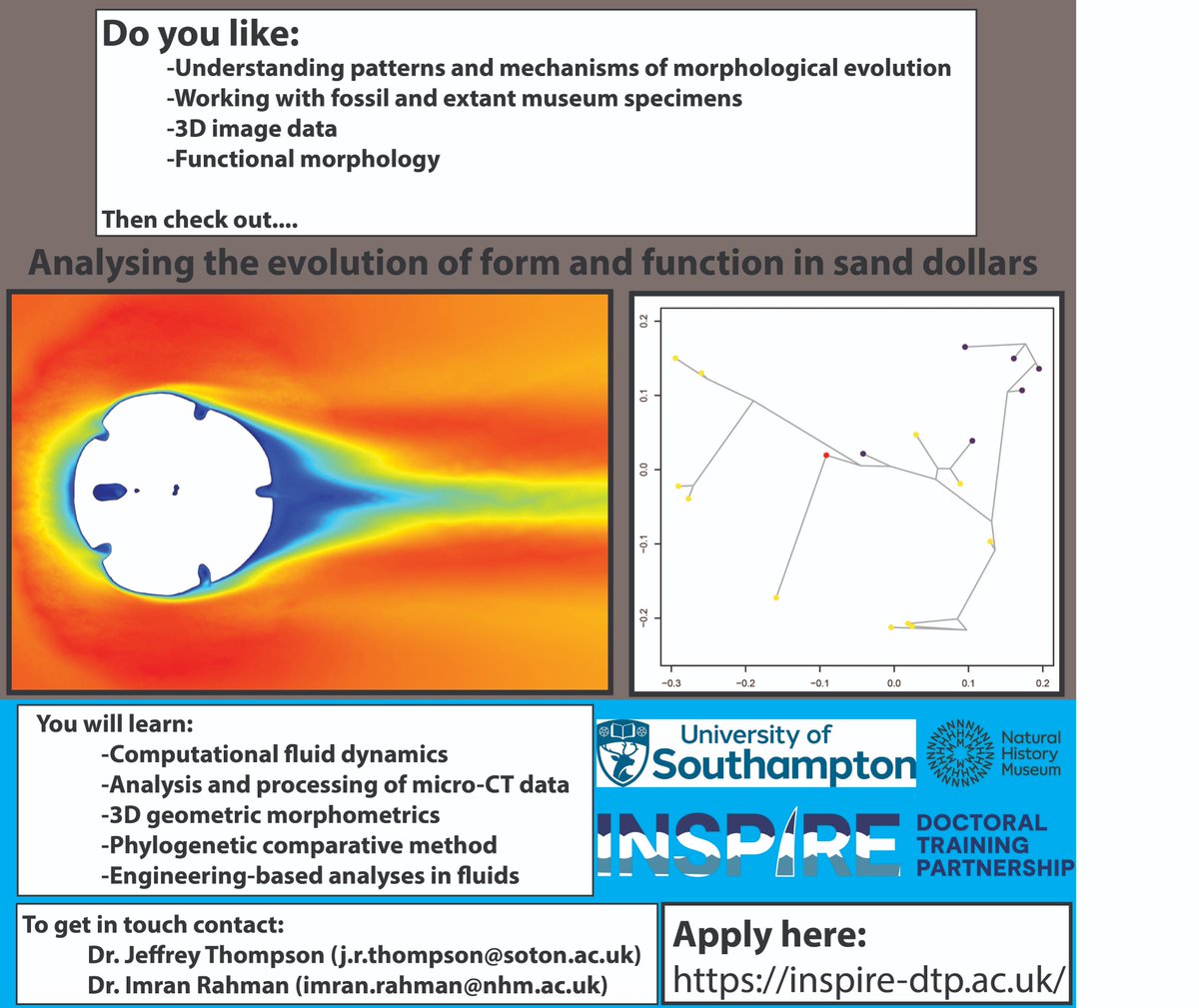 Jeffrey R Thompson (@echinerd) on Twitter photo Interested in morphological evolution? Functional morphology? Echinoderms? A dash of engineering? Then maybe this fully funded PhD through the INSPIRE DTP <a href="/OceanEarthUoS/">OceanEarthUniSoton</a> with me, <a href="/VirtualPalaeo/">Imran Rahman</a>, Jorn Cheney, and <a href="/EvoPalaeoLab/">Gostling Evolution and Palaeo Lab 🦖☄️🦤🪽🐦⬛🐀🦒</a> is for you! Interested in morphological evolution? Functional morphology? Echinoderms? A dash of engineering? Then maybe this fully funded PhD through the INSPIRE DTP <a href="/OceanEarthUoS/">OceanEarthUniSoton</a> with me, <a href="/VirtualPalaeo/">Imran Rahman</a>, Jorn Cheney, and <a href="/EvoPalaeoLab/">Gostling Evolution and Palaeo Lab 🦖☄️🦤🪽🐦⬛🐀🦒</a> is for you!