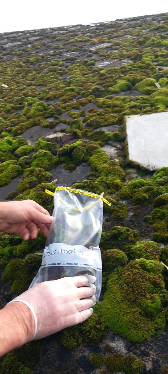 toxicowatch's tweet photo. Just back from our first biomonitoring in Slovakia. Collecting backyard chicken eggs, fruit, vegetation, mosses, water/sediment, roof dust and sheep wool for analyses on heavy metals and persistent organic pollutants (POPs), like dioxins, PFAS and PAH. #dioxins, #incineration. https://t.co/ft7eKXZkuY