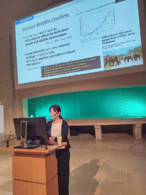 _forestelephant's tweet photo. Saeko Terada, Tamagawa University, a étudié la perception des éléphants par les populations locales avec @IretGabon et @Parcs_Gabon. Elle peut devenir positive si les populations perçoivent les retombées de la conservation, si elles sont impliquées dans le processus de décision. https://t.co/WlwVLX2CpY