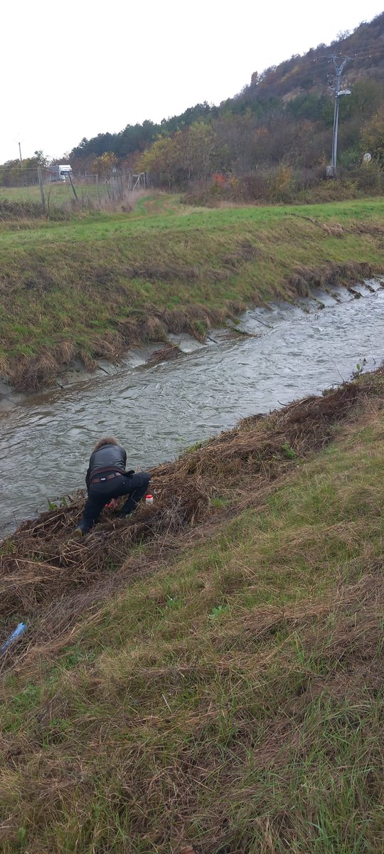 toxicowatch's tweet photo. Just back from our first biomonitoring in Slovakia. Collecting backyard chicken eggs, fruit, vegetation, mosses, water/sediment, roof dust and sheep wool for analyses on heavy metals and persistent organic pollutants (POPs), like dioxins, PFAS and PAH. #dioxins, #incineration. https://t.co/ft7eKXZkuY