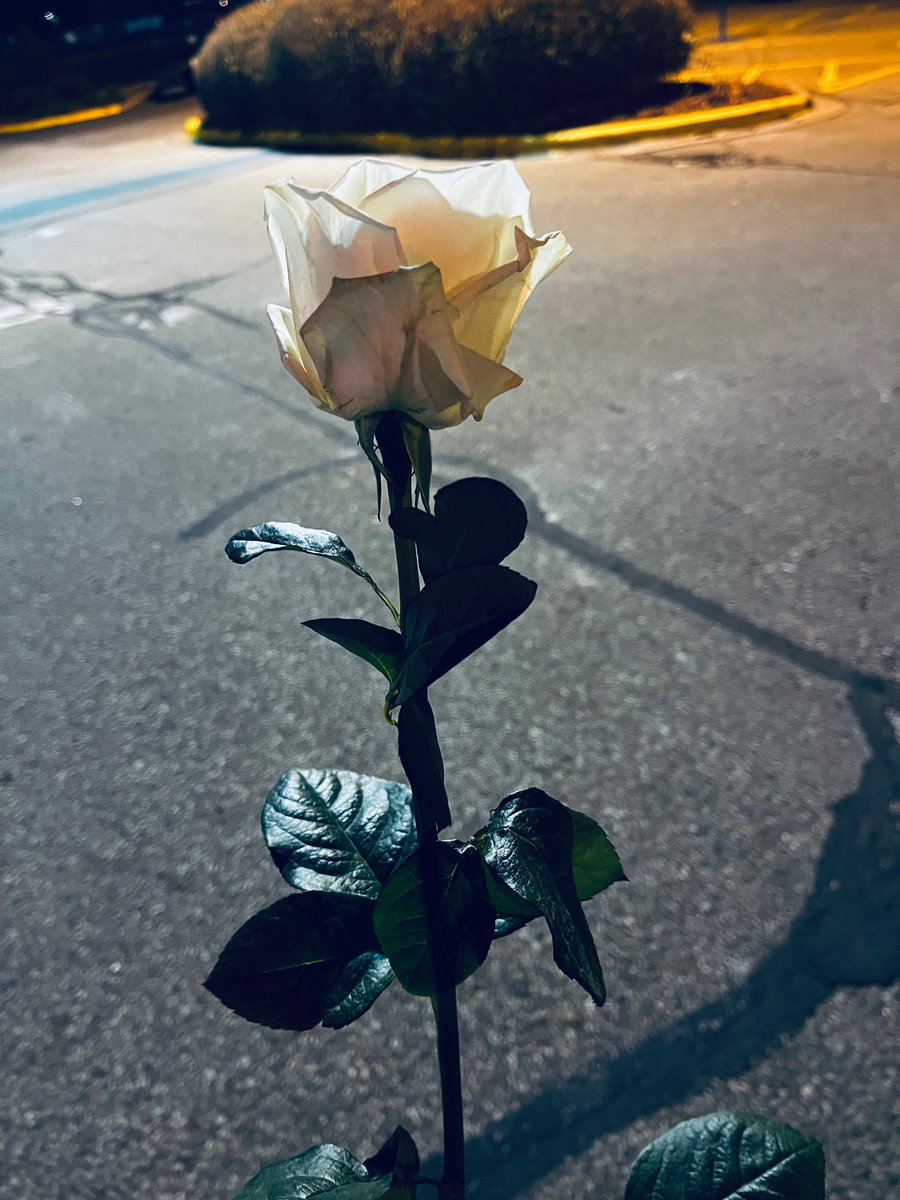 Tonight <a href="/waynehhsiung/">Wayne Hsiung</a> lost his freedom, but two other earthlings got theirs.

More to come.
✊♥️🌎🦃

<a href="/SonomaTrial/">Sonoma Rescue Trial</a>