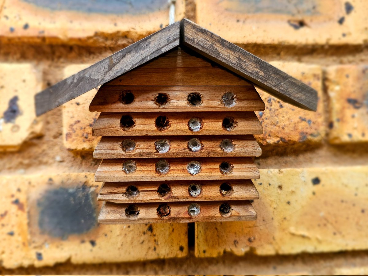 ń Hele paar bye het al gebruik gemaak van die #ByeHotel #SaveOurBees 🐝