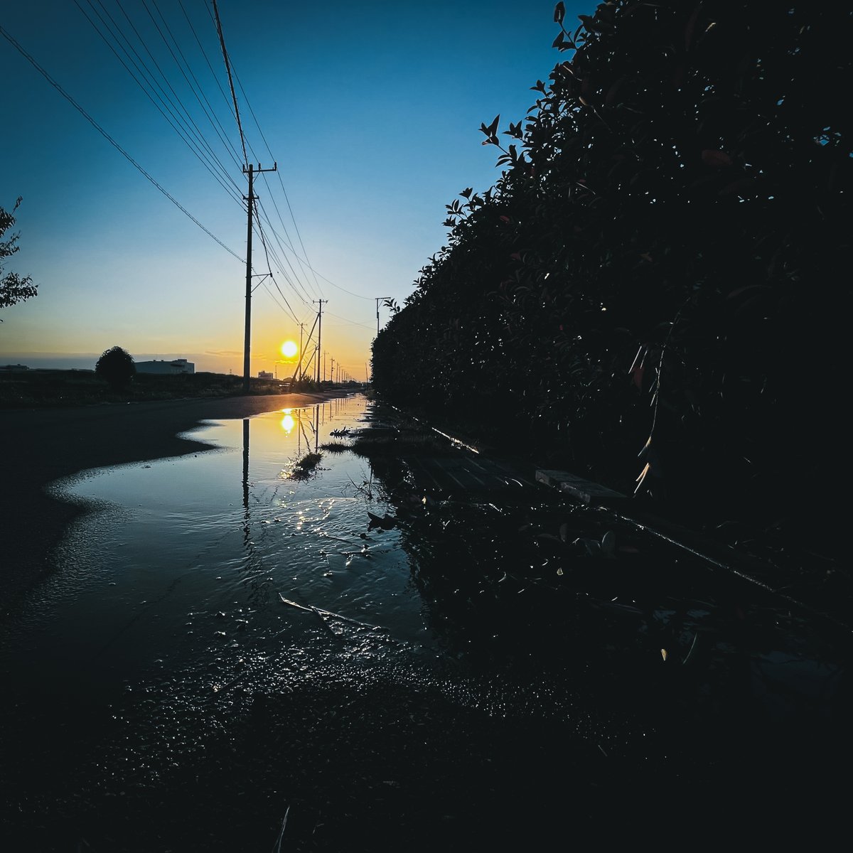 Eye_drops_flow's tweet image. 明日も暑いらしいよ