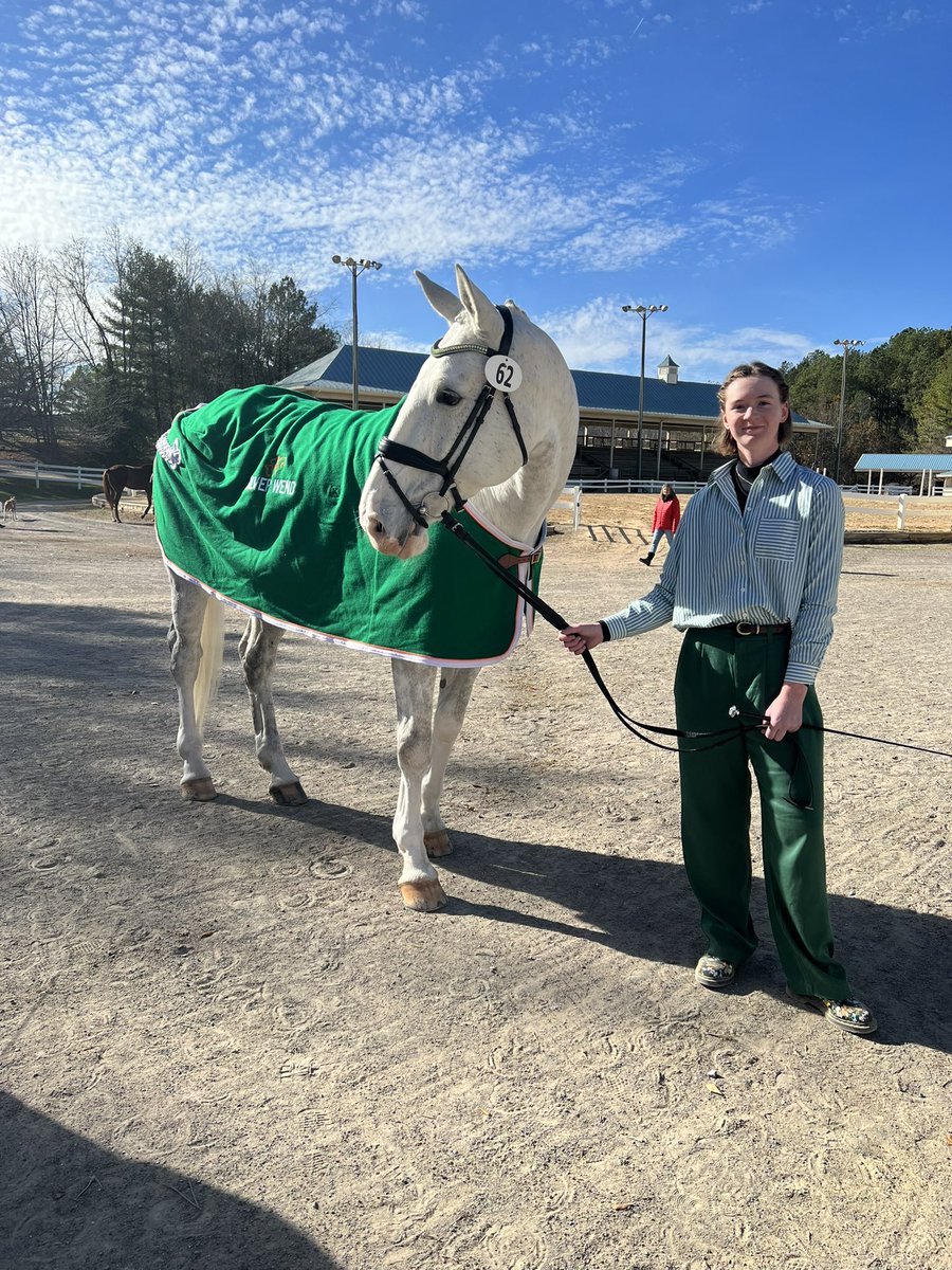 Lexington,KY➡️Lexington, VA

BGS Silver Lining accepted @ Virginia Horse Center CCI*-L