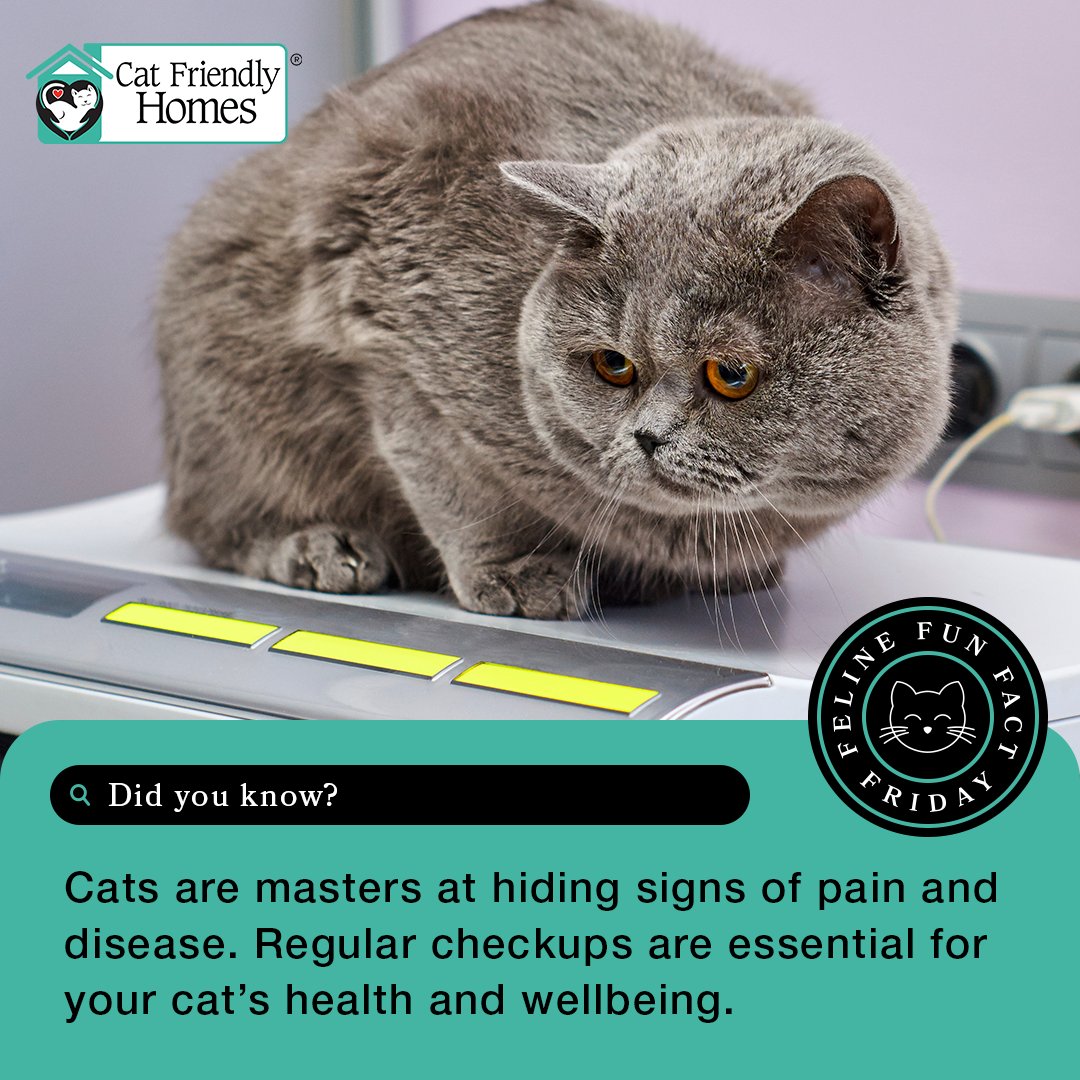 Cats are masters at hiding signs of pain and disease. Senior cats aged 10 to 15  should have checkups at least every six months. Cats over 15 years should be seen every four months. Learn more about senior cats at bit.ly/30t5gVZ. 

#FelineFunFactFriday #CatFriendlyHomes
