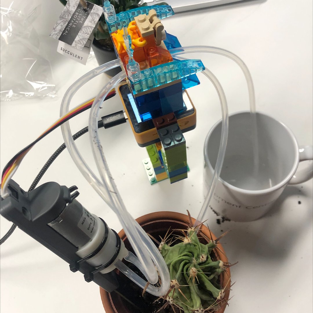 stgeorgesedin's tweet photo. "🌱 Exciting day at AWS Winners' Day in Edinburgh! UK students dove into a hands-on workshop, crafting a program measuring plant health via IoT &amp; coded watering systems! Thanks to AWS &amp; Future Foundations for empowering girls in tech. 🌿🔬 #aVoiceforAmbition #AWSGetIT @awscloud https://t.co/iqJBTK6lYR