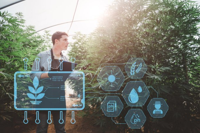UEAforBusiness's tweet photo. Calling all agri-food businesses -
 @uniofeastanglia is a proud partner in the exciting new Eastern Agri-Food Innovation Launchpad funding opportunity – up to £300k available when working on a Collaborative Research and Development project! 

More info: https://t.co/t3LtBIzhUB https://t.co/2z0D0KcDrY