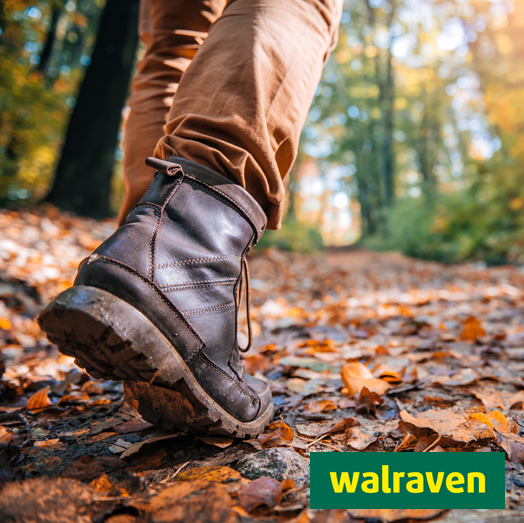 ZTLmijdrecht's tweet photo. Doe mee met Walraven - 12 km Wandelen door de Venen!

Zondag 5 nov. 9.00 ~ 10.00
Sporthal Laco, Hoofdweg 85, Mijdrecht

Schrijf je nu in voor slechts € 3,00 via https://t.co/Ot7mpuxgRq

Na de wandeltocht ontvang je, iets leuks!

#WandeltochtMijdrecht #OntdekMijdrecht #Wandelen https://t.co/zZa74BfvDs