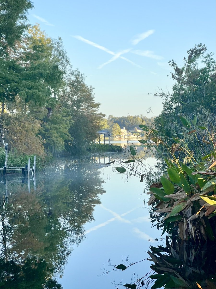 Cloud Reporter tweet media