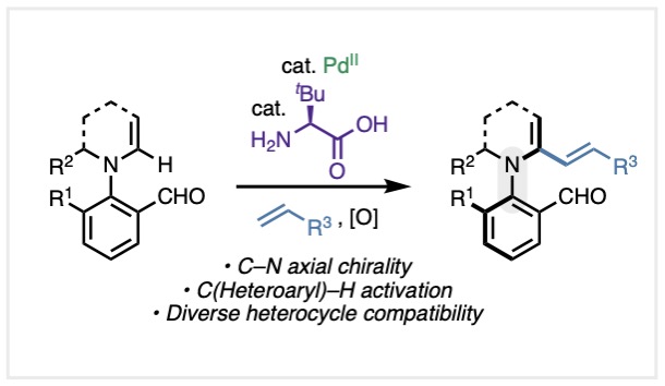 In our lab's newest <a href="/ChemRxiv/">ChemRxiv</a> pre-print <a href="/sunjuntao1/">Juntao Sun</a> &amp; team craft C–N chiral axes through atroposelective C(heteroaryl)-H activation. Unique products that react fast &amp; selectively in [4+2]s. tinyurl.com/47av296n