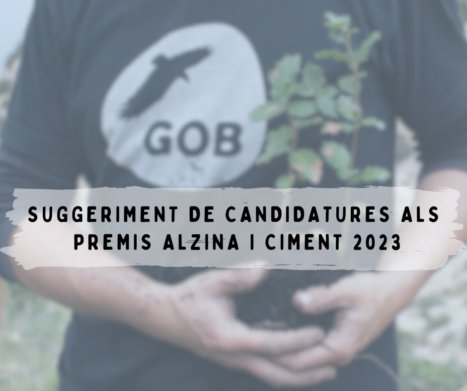 GOBMallorca's tweet photo. 🏆Arriba una nova edició dels #PremisAlzina i #PremisCiment i us necessitam: Un any més, volem que sigueu vosaltres qui trieu als candidats d'aquest 2023.

⁉️Quines són les vostres propostes? Ompliu el formulari: https://t.co/BXdJjBhRtQ. Podeu enviar tantes com vulgueu! https://t.co/N2mafPzBi8