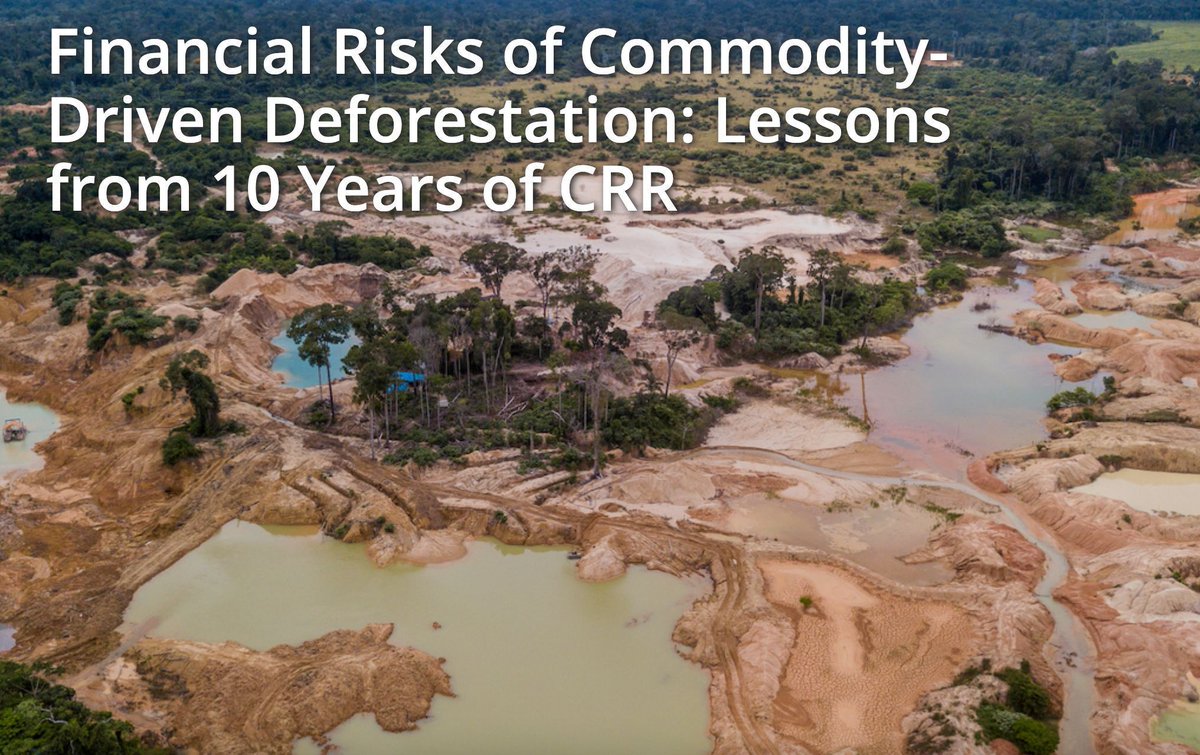 Aidenvironment.org (@aidenvironment) on Twitter photo 📣 @AidEnvironment, @profundoNL, <a href="/ClimateAdvisers/">Climate Advisers</a> and @Green_Century are excited to announce the publication of the latest Chain Reaction Research report on Financial Risks of Commodity-Driven Deforestation 📣
Read the full report here 👉 buff.ly/3Mpa7MQ 📣 @AidEnvironment, @profundoNL, <a href="/ClimateAdvisers/">Climate Advisers</a> and @Green_Century are excited to announce the publication of the latest Chain Reaction Research report on Financial Risks of Commodity-Driven Deforestation 📣
Read the full report here 👉 buff.ly/3Mpa7MQ