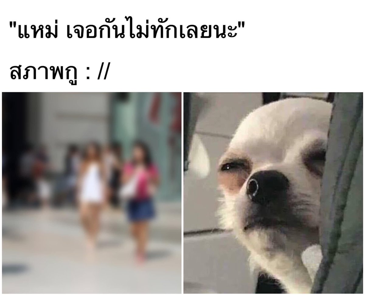 lolong___'s tweet photo. ไม่ได้หยิ่ง แต่สายตากูแย่ 5555555 https://t.co/hQke4K4ka8