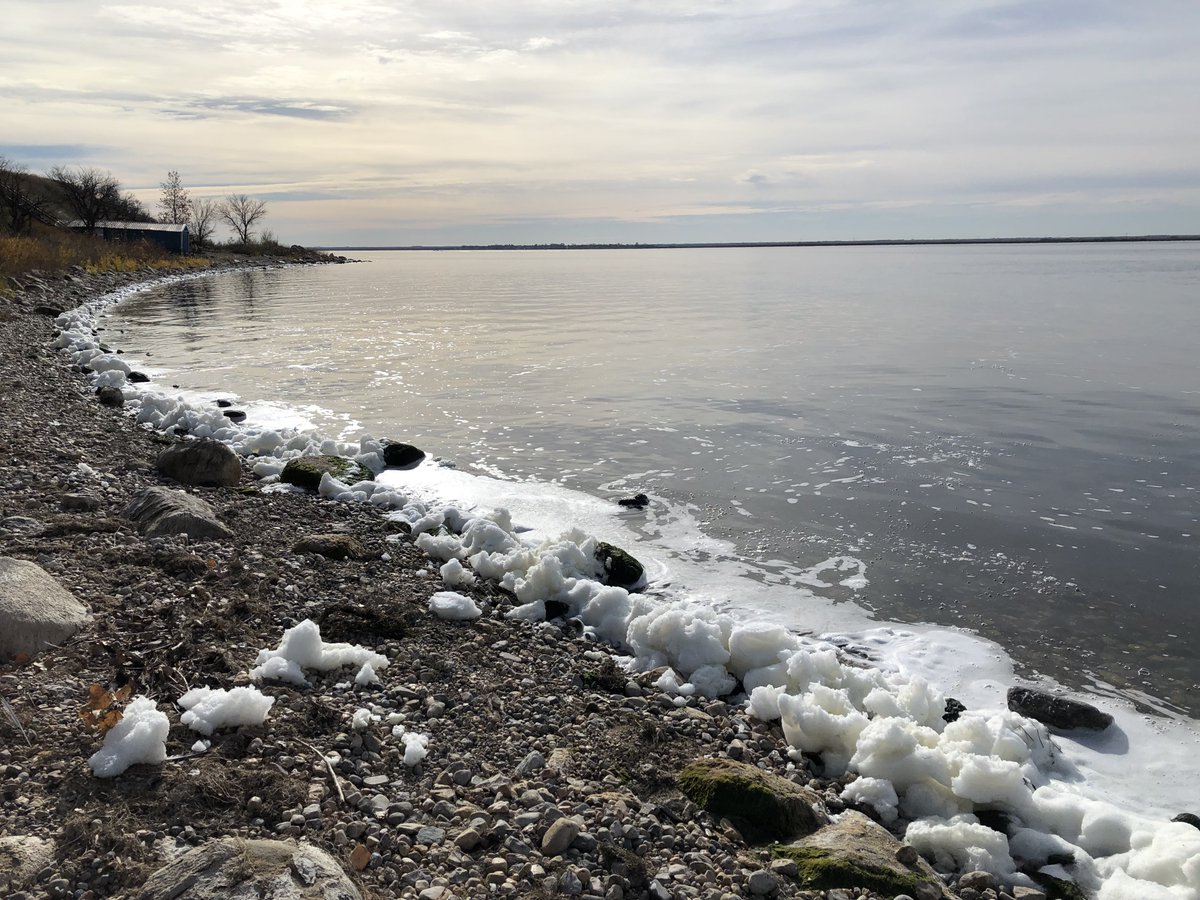 Regina 86th Scouts tweet media