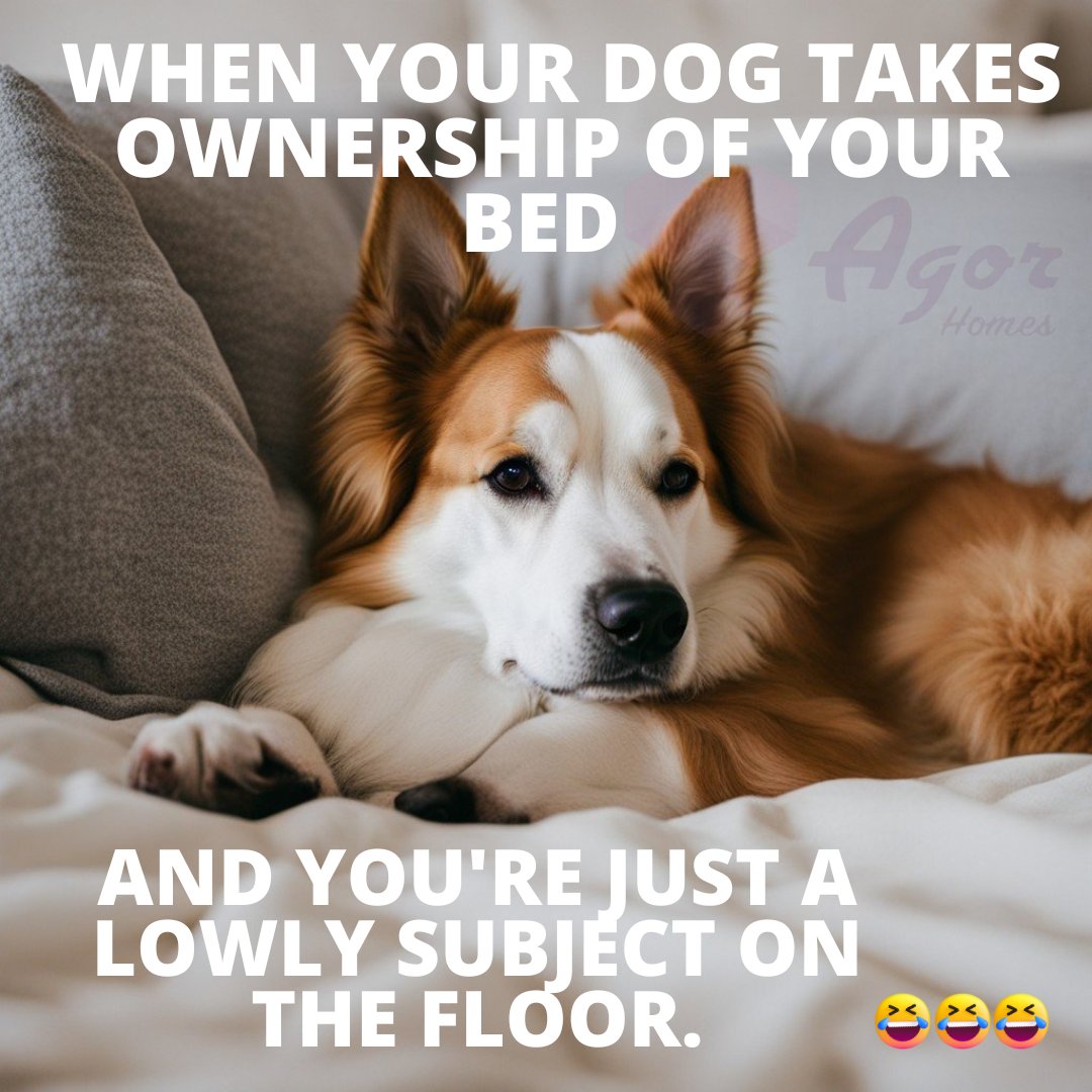 agor_homes's tweet photo. @ruffydfire Hahahaha...
Make we laugh small abeg
Furniture meme of the week
#furnituredesign #Memes #furniturememe #memeweek #naira https://t.co/Gx5Xggqza9